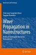 Wave Propagation in Nanostructures - Bild 1