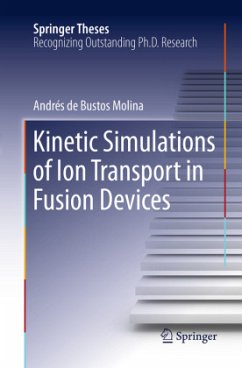 Kinetic Simulations of Ion Transport in Fusion Devices - de Bustos Molina, Andrés