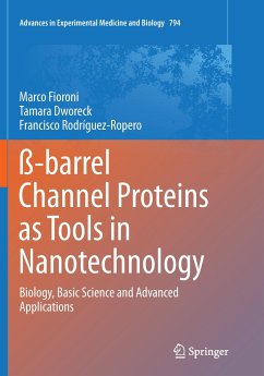 ß-barrel Channel Proteins as Tools in Nanotechnology - Fioroni, Marco;Dworeck, Tamara;Rodriguez-Ropero, Francisco