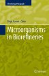 Microorganisms in Biorefineries - Bild 1