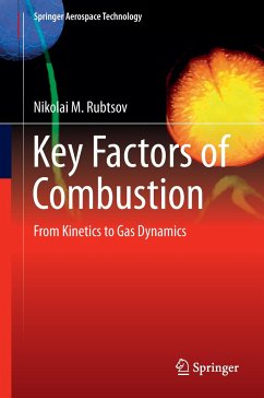 Key Factors of Combustion - Rubtsov, Nikolai M.