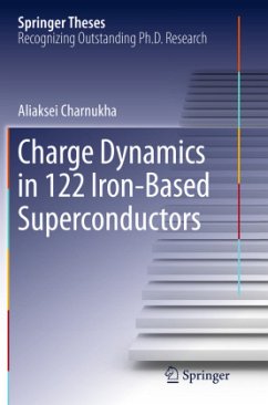 Charge Dynamics in 122 Iron-Based Superconductors - Charnukha, Aliaksei
