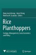 Rice Planthoppers - Bild 1