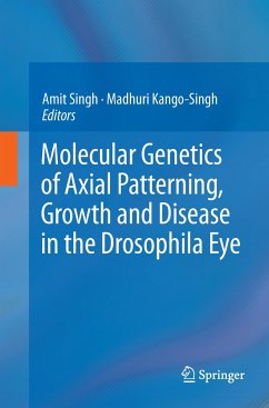 Molecular Genetics of Axial Patterning, Growth and Disease in the Drosophila Eye