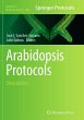 Arabidopsis Protocols - Bild 1