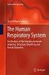 The Human Respiratory System - Bild 1