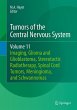 Tumors of the Central Nervous System,... - Bild 1
