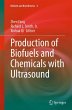 Production of Biofuels and Chemicals... - Bild 1