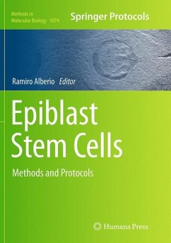 Epiblast Stem Cells