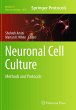 Neuronal Cell Culture - Bild 1