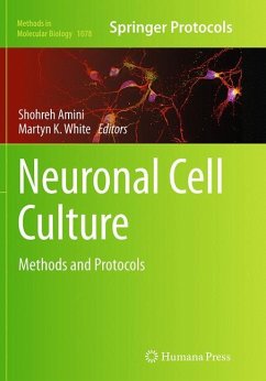 Neuronal Cell Culture