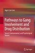 Pathways to Gang Involvement and Drug... - Bild 1