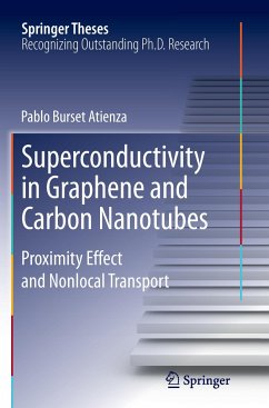 Superconductivity in Graphene and Carbon Nanotubes - Burset Atienza, Pablo
