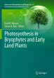 Photosynthesis in Bryophytes and Early... - Bild 1