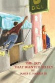 The Boy that Wanted to Fly