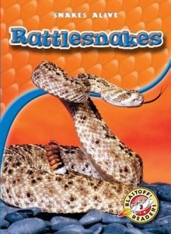 Rattlesnakes - Sexton, Colleen