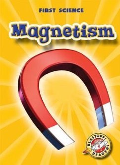 Magnetism - Schuh, Mari C