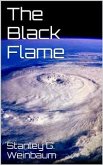 The Black Flame (eBook, ePUB)