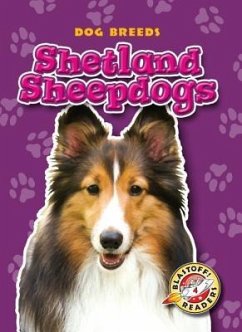 Shetland Sheepdogs - Wendorff, Anne