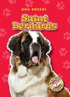 Saint Bernards - Wendorff, Anne