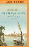 Sipping from the Nile: My Exodus from Egypt