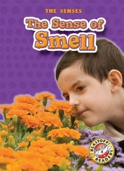 The Sense of Smell - Schuh, Mari C