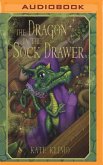 The Dragon in the Sock Drawer