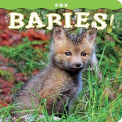Fox Babies! - Lehmann, Steph