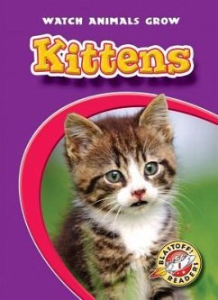 Kittens - Sexton, Colleen