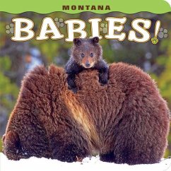 Montana Babies! - Lehmann, Steph