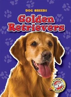 Golden Retrievers - Schuh, Mari C