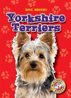 Yorkshire Terriers - Green, Sara