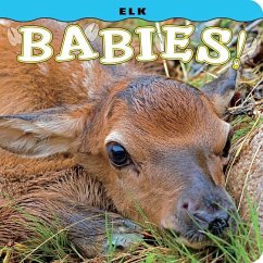 Elk Babies! - Lehmann, Steph
