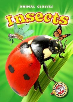 Insects - Schuetz, Kari