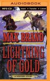 Lightning of Gold: A Western Story