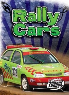 Rally Cars - Finn, Denny von