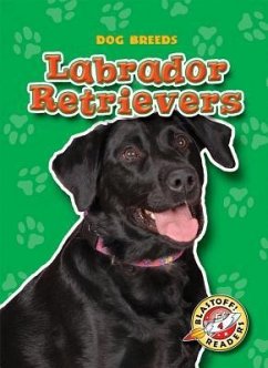 Labrador Retrievers - Schuh, Mari C