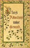 Alice's Adventures under Ground (eBook, ePUB)