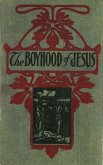 The Boyhood of Jesus (eBook, ePUB)