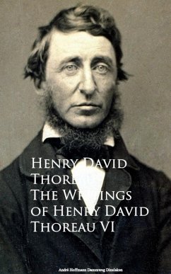Cover The Writings VI (eBook, ePUB)