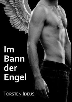 Im Bann der Engel (eBook, ePUB)