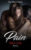 Pain (What I Like, #3) (eBook, ePUB)