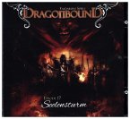 Dragonbound, Faldaruns Spiele - Seelensturm