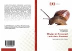 Elevage de l¿escargot Limicolaria flammea