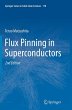 Flux Pinning in Superconductors - Bild 1