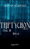 Triptychon Teil 3 - Hölle (eBook, ePUB)