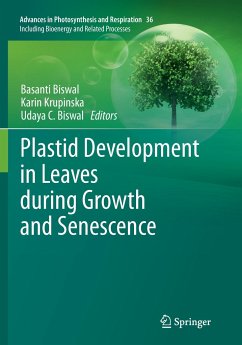 Plastid Development in Leaves during Growth and Senescence