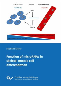 Function of microRNAs in skeletal muscle cell differentiation - Meyer, Swanhild