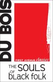 Souls of Black Folk (eBook, ePUB)