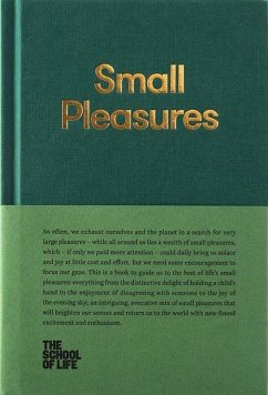 Cover Small Pleasures